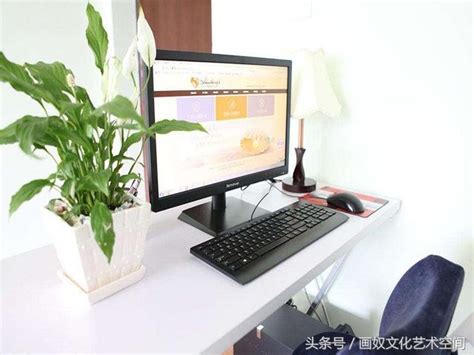 辦公桌植物位置 麻 植物